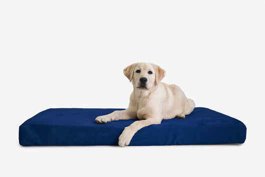 OrthoLift | Orthopedic Dog Bed with 4-Inch Foam Support for Large Dogs 23