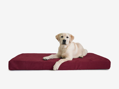 OrthoLift | Orthopedic Dog Bed with 4-Inch Foam Support for Large Dogs 24