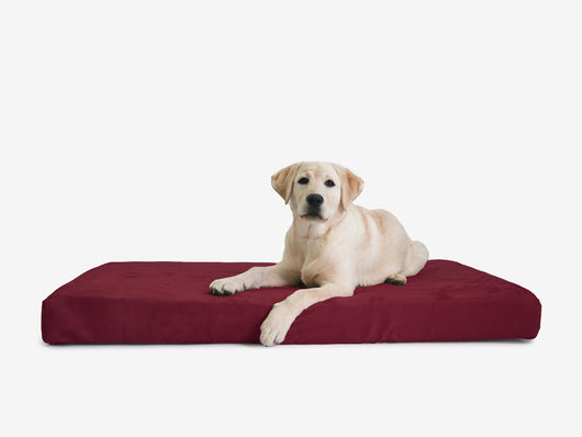 OrthoLift | Orthopedic Dog Bed with 4-Inch Foam Support for Large Dogs 24