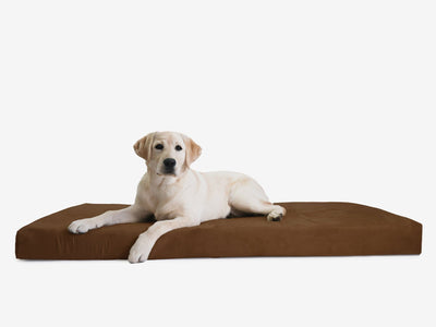 OrthoLift | Orthopedic Dog Bed with 4-Inch Foam Support for Large Dogs 25