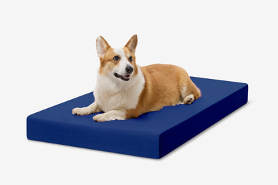 OrthoLift | Orthopedic Dog Bed with 4-Inch Foam Support for Large Dogs 26