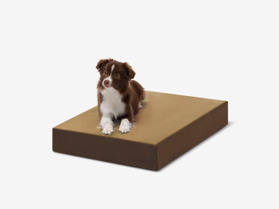 OrthoLift | Orthopedic Dog Bed with 4-Inch Foam Support for Large Dogs 27