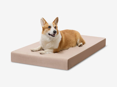 OrthoLift | Orthopedic Dog Bed with 4-Inch Foam Support for Large Dogs 3