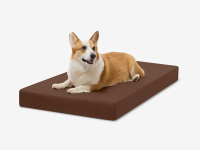 OrthoLift | Orthopedic Dog Bed with 4-Inch Foam Support for Large Dogs 4