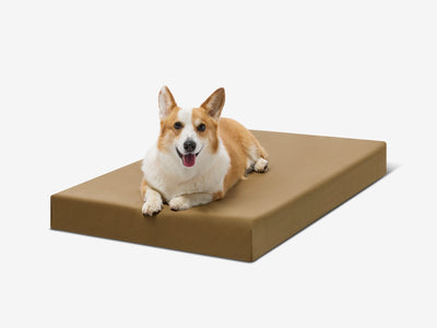 OrthoLift | Orthopedic Dog Bed with 4-Inch Foam Support for Large Dogs 5