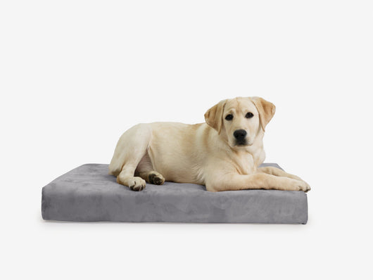OrthoLift | Orthopedic Dog Bed with 4-Inch Foam Support for Large Dogs 7