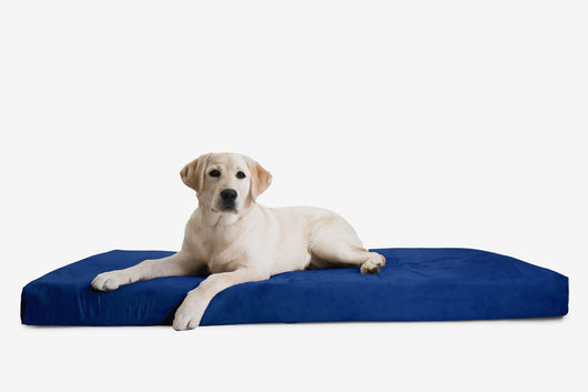 OrthoLift | Orthopedic Dog Bed with 4-Inch Foam Support for Large Dogs 9