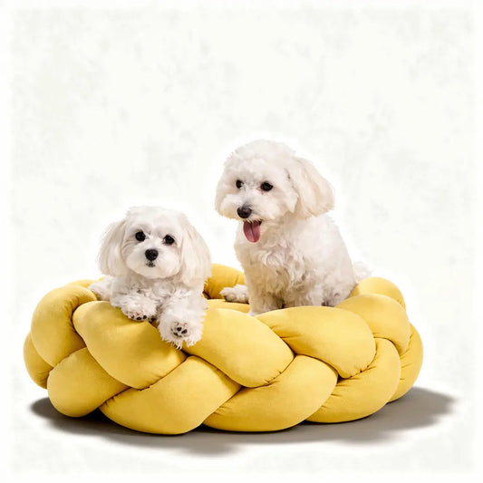 Orthopedic Dog Bed with Plush Cushioning | for Small to Large Dogs Levereau