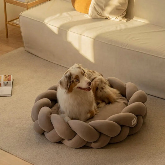 Orthopedic Dog Bed with Plush Cushioning | for Small to Large Dogs 1
