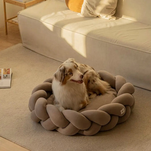 Orthopedic Dog Bed with Plush Cushioning | for Small to Large Dogs 1