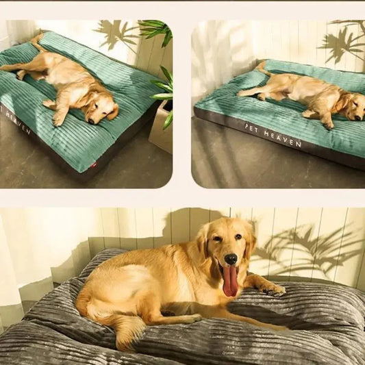Orthopedic Dog Bed with Removable Cover | for Large Dogs with Joint Support and Easy Care-Dog Beds-Levereau-Gray-Levereau