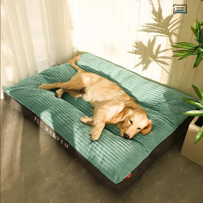Orthopedic Dog Bed with Removable Cover | for Large Dogs with Joint Support and Easy Care-Dog Beds-Levereau-Light Green-Levereau