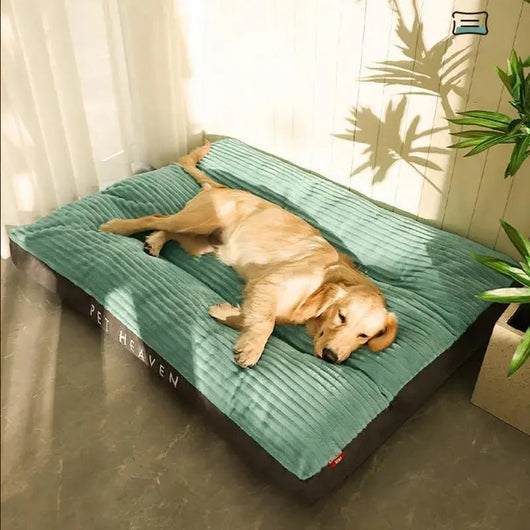 Orthopedic Dog Bed with Removable Cover | for Large Dogs with Joint Support and Easy Care-Dog Beds-Levereau-Light Green-Levereau