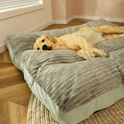 Orthopedic Dog Bed with Removable Cover | for Large Dogs with Joint Support and Easy Care-Dog Beds-Levereau-Gray-Levereau