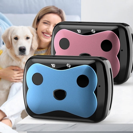 PawVault | GPS Dog Tracker Collar with Real-Time Location Monitoring for Outdoor Adventures 2