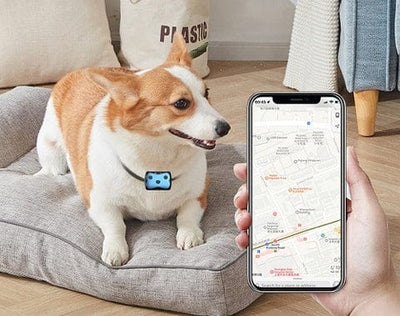 PawVault | GPS Dog Tracker Collar with Real-Time Location Monitoring for Outdoor Adventures 5