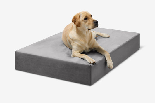 PawVault | Orthopedic Dog Bed with 7-Inch Foam for Large Dogs — Supports Joint Health 0