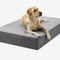 PawVault | Orthopedic Dog Bed with 7-Inch Foam for Large Dogs — Supports Joint Health