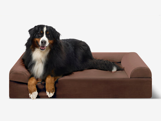 PawVault | Orthopedic Dog Bed with 7-Inch Foam for Large Dogs — Supports Joint Health 11