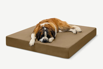 PawVault | Orthopedic Dog Bed with 7-Inch Foam for Large Dogs — Supports Joint Health 14
