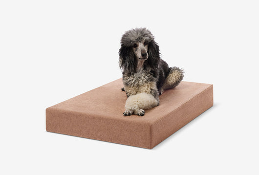 PawVault | Orthopedic Dog Bed with 7-Inch Foam for Large Dogs — Supports Joint Health 16