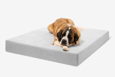 PawVault | Orthopedic Dog Bed with 7-Inch Foam for Large Dogs — Supports Joint Health 17