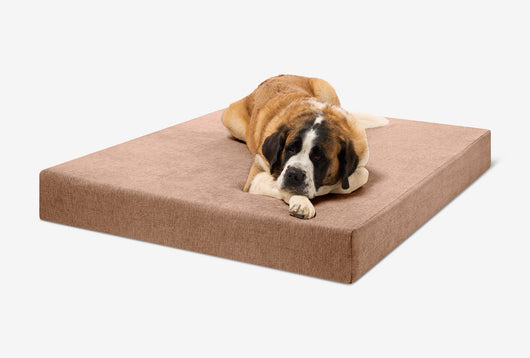 PawVault | Orthopedic Dog Bed with 7-Inch Foam for Large Dogs — Supports Joint Health 18