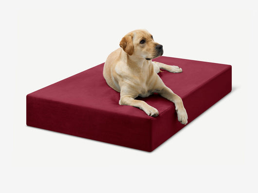 PawVault | Orthopedic Dog Bed with 7-Inch Foam for Large Dogs — Supports Joint Health 19