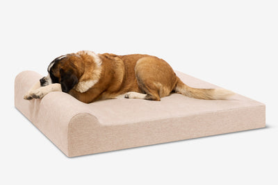 PawVault | Orthopedic Dog Bed with 7-Inch Foam for Large Dogs — Supports Joint Health 20