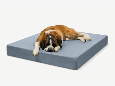 PawVault | Orthopedic Dog Bed with 7-Inch Foam for Large Dogs — Supports Joint Health 21