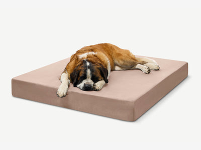 PawVault | Orthopedic Dog Bed with 7-Inch Foam for Large Dogs — Supports Joint Health 22