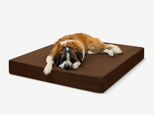 PawVault | Orthopedic Dog Bed with 7-Inch Foam for Large Dogs — Supports Joint Health 23