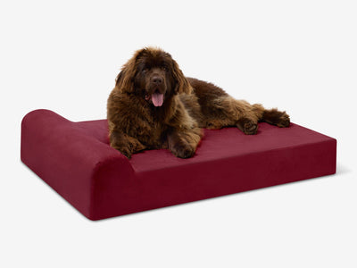 PawVault | Orthopedic Dog Bed with 7-Inch Foam for Large Dogs — Supports Joint Health 24