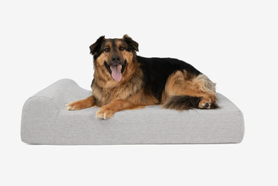 PawVault | Orthopedic Dog Bed with 7-Inch Foam for Large Dogs — Supports Joint Health 25