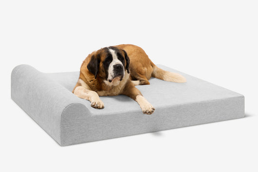 PawVault | Orthopedic Dog Bed with 7-Inch Foam for Large Dogs — Supports Joint Health 26
