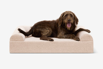PawVault | Orthopedic Dog Bed with 7-Inch Foam for Large Dogs — Supports Joint Health 27