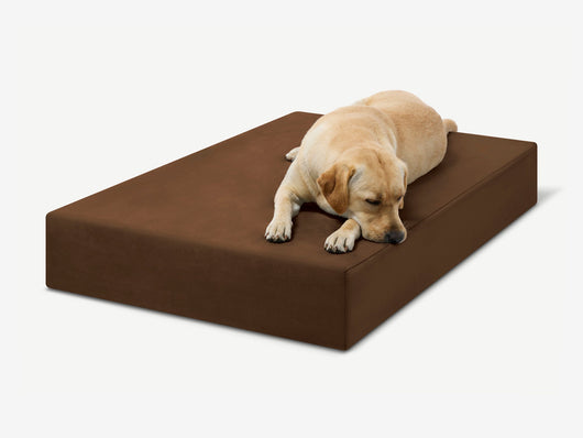PawVault | Orthopedic Dog Bed with 7-Inch Foam for Large Dogs — Supports Joint Health 28