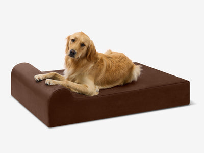 PawVault | Orthopedic Dog Bed with 7-Inch Foam for Large Dogs — Supports Joint Health 29