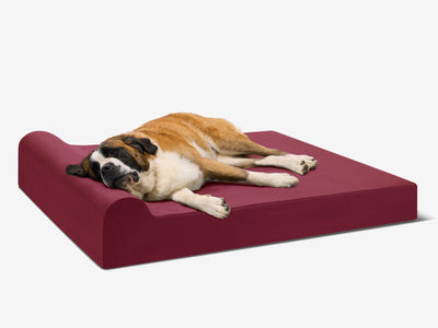 PawVault | Orthopedic Dog Bed with 7-Inch Foam for Large Dogs — Supports Joint Health 2