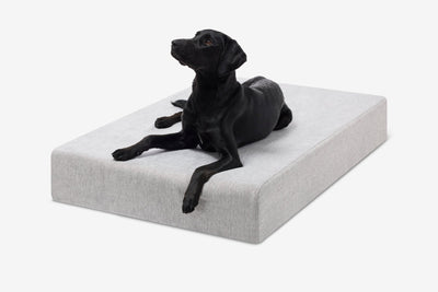 PawVault | Orthopedic Dog Bed with 7-Inch Foam for Large Dogs — Supports Joint Health 30