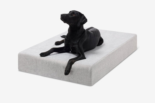 PawVault | Orthopedic Dog Bed with 7-Inch Foam for Large Dogs — Supports Joint Health 30
