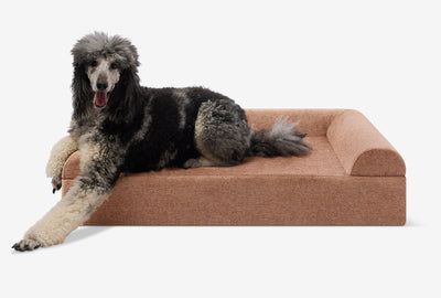 PawVault | Orthopedic Dog Bed with 7-Inch Foam for Large Dogs — Supports Joint Health 31