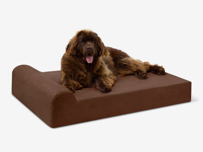 PawVault | Orthopedic Dog Bed with 7-Inch Foam for Large Dogs — Supports Joint Health 33