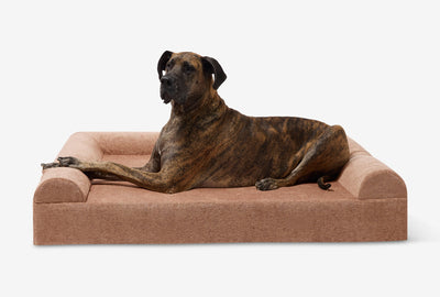 PawVault | Orthopedic Dog Bed with 7-Inch Foam for Large Dogs — Supports Joint Health 34
