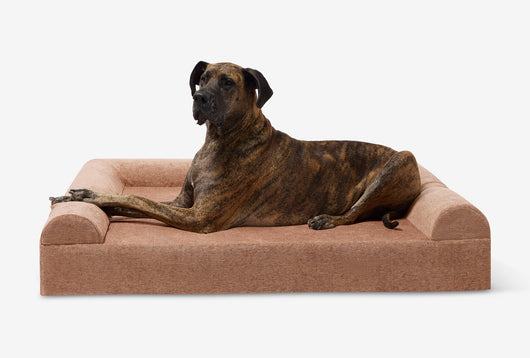 PawVault | Orthopedic Dog Bed with 7-Inch Foam for Large Dogs — Supports Joint Health 34