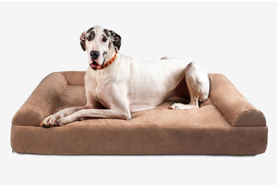 PawVault | Orthopedic Dog Bed with 7-Inch Foam for Large Dogs — Supports Joint Health 35