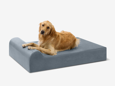 PawVault | Orthopedic Dog Bed with 7-Inch Foam for Large Dogs — Supports Joint Health 36