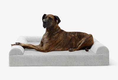 PawVault | Orthopedic Dog Bed with 7-Inch Foam for Large Dogs — Supports Joint Health 37