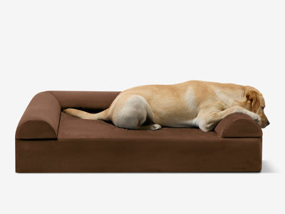 PawVault | Orthopedic Dog Bed with 7-Inch Foam for Large Dogs — Supports Joint Health 38