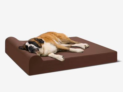 PawVault | Orthopedic Dog Bed with 7-Inch Foam for Large Dogs — Supports Joint Health 3